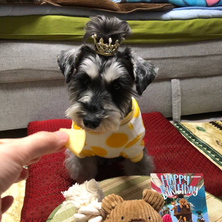 C23cbb89 84e9 4ddb b76f a6e3d7dff5fc 1641298524637