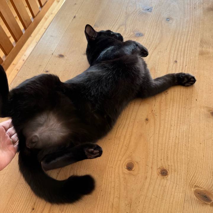 C23cd28b 6d8e 4b4d 830c b1b9d54f439f 1763939756642