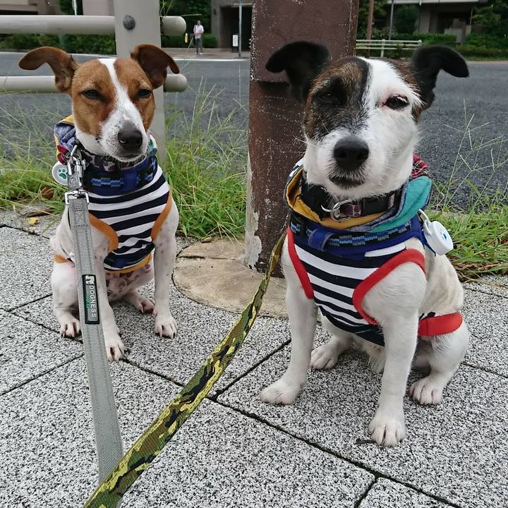 C23ce731 450d 432f b50b 5ac9ecc7b9a5 1535405840023