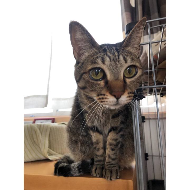 C23cf462 e9ca 4104 b156 094e76e82dd5 1620097917648