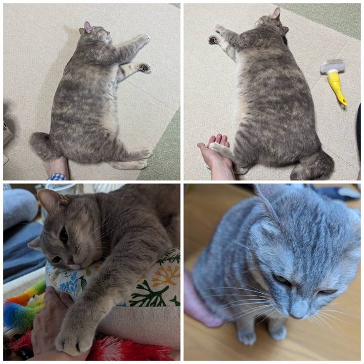 C23d07d1 427c 4238 9b88 7d087b28826f 1695789706825