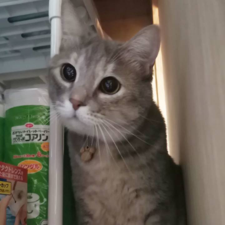 C23d32a1 dcdf 420d 8f22 a811d010d7be 1603118502063