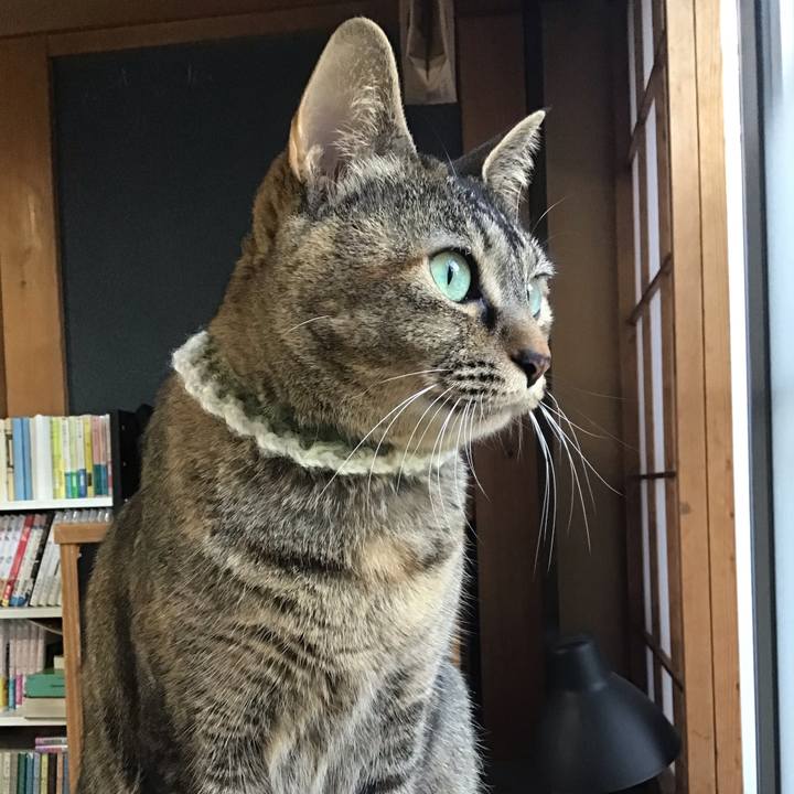 C23d35cb 7d1d 4285 8f37 fbac1f3f7236 1649320916737