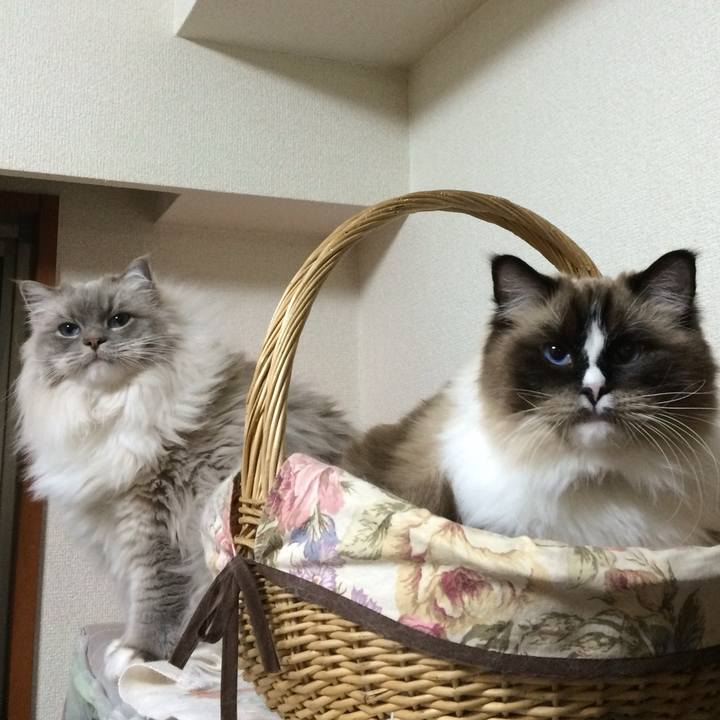 C23d9a35 1321 4420 a518 4d85aa24defb 1713792401158