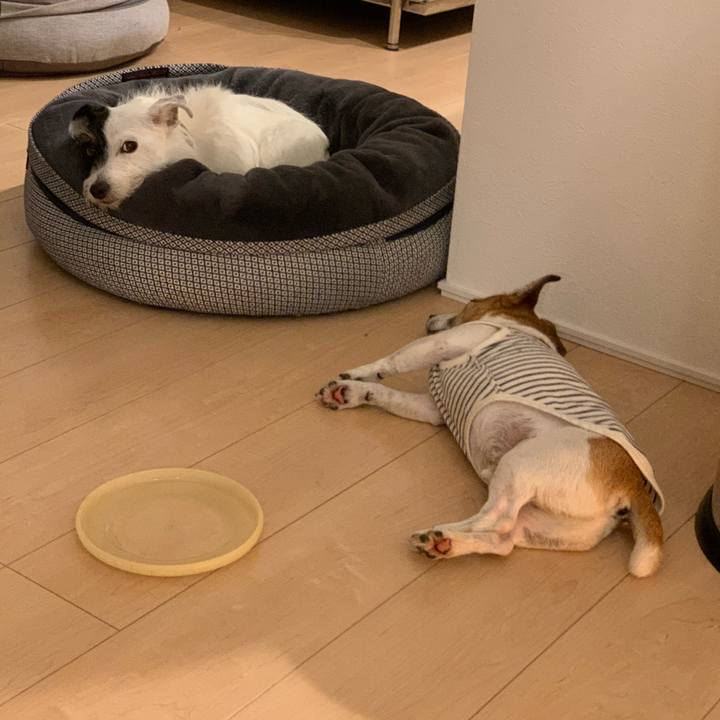 C23df009 1634 4392 abc4 6e95d6b38ee8 1599733524126