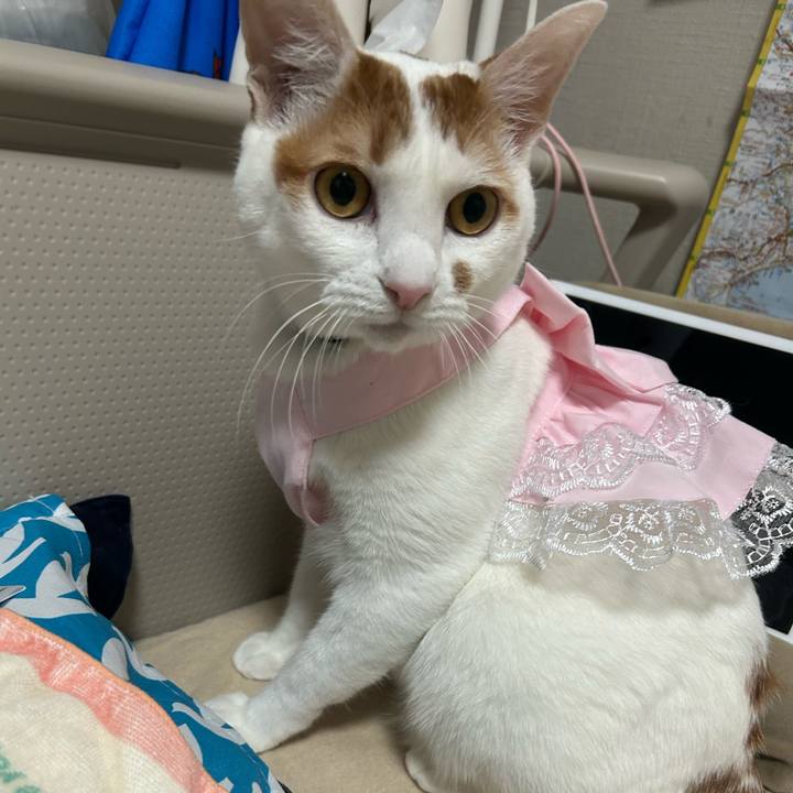 C23df81b 1381 4309 942c ff6390be0c66 1761828720929