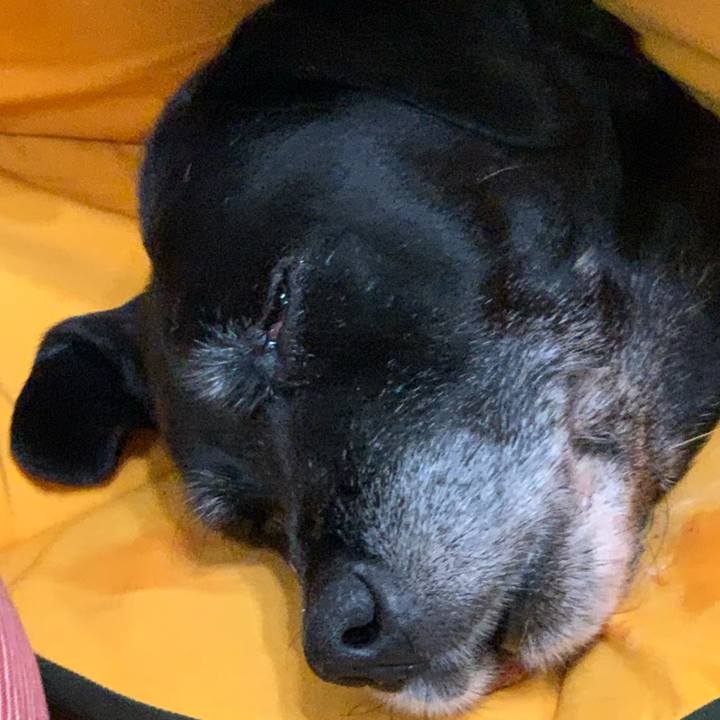 C23e355e 99a8 46ca ba47 97977426cc40 1633923478731