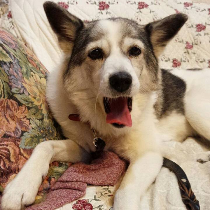 C23e4473 388d 4424 8578 39b53b693842 1525113071398