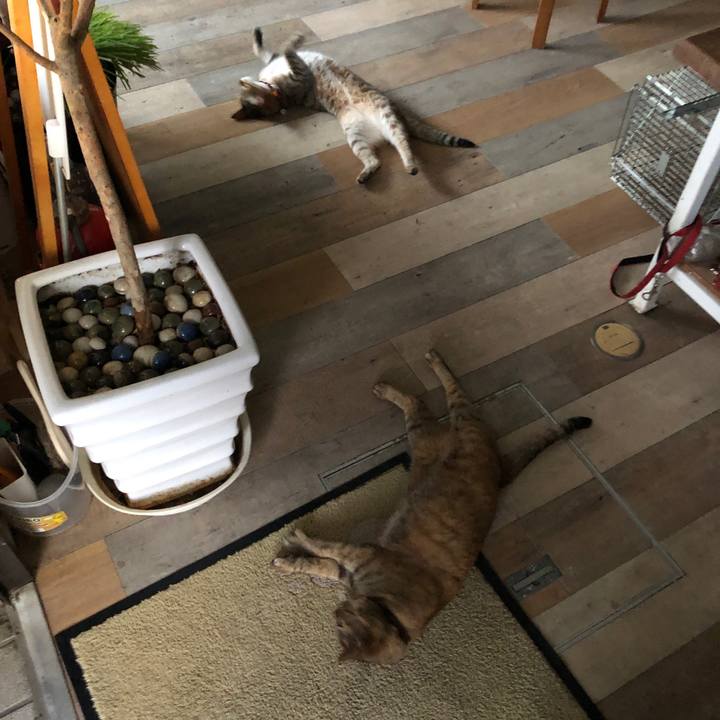 C23e4839 82b2 48a4 a253 5b97b96b28ce 1627814654216