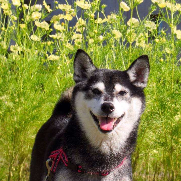 C23e85b6 29b4 493f 80a6 3f31a6aef909 1634634898060