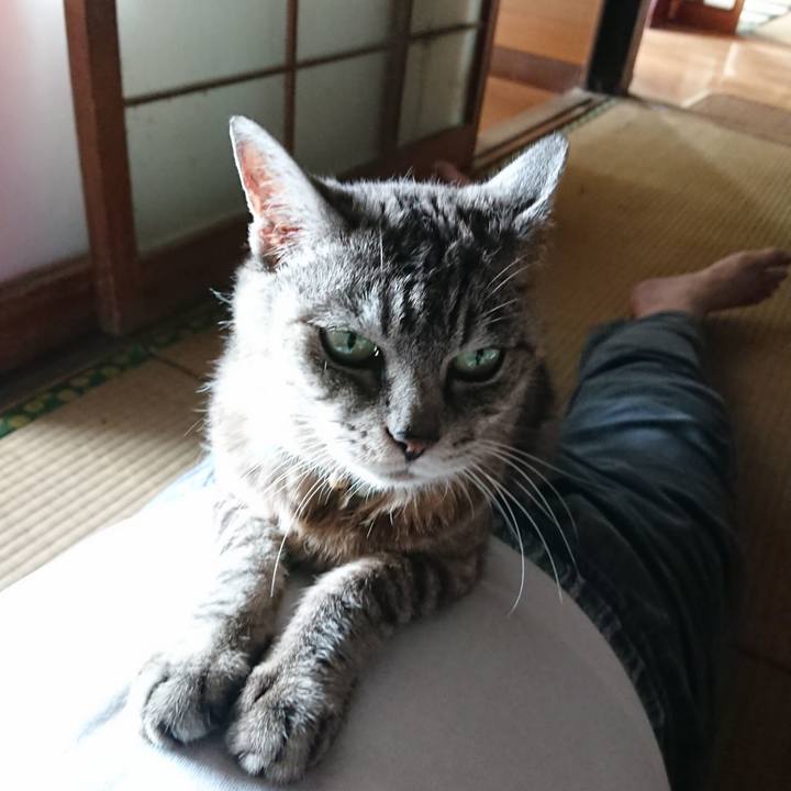 C23e9f2a c63b 47c9 9afe 1c3771322f1f 1569220826585