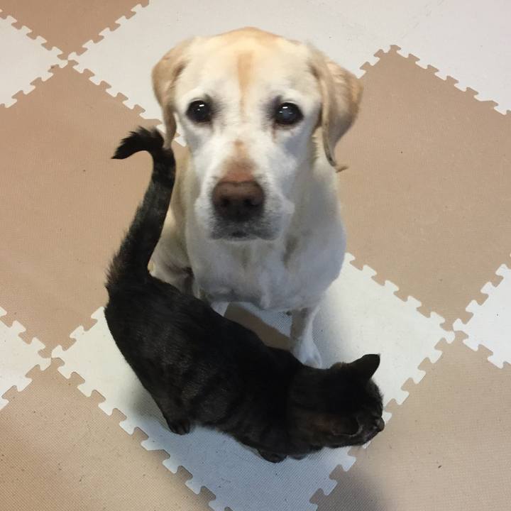 C23ef63a 6639 408c 9999 ca18cfff971c 1557818044953