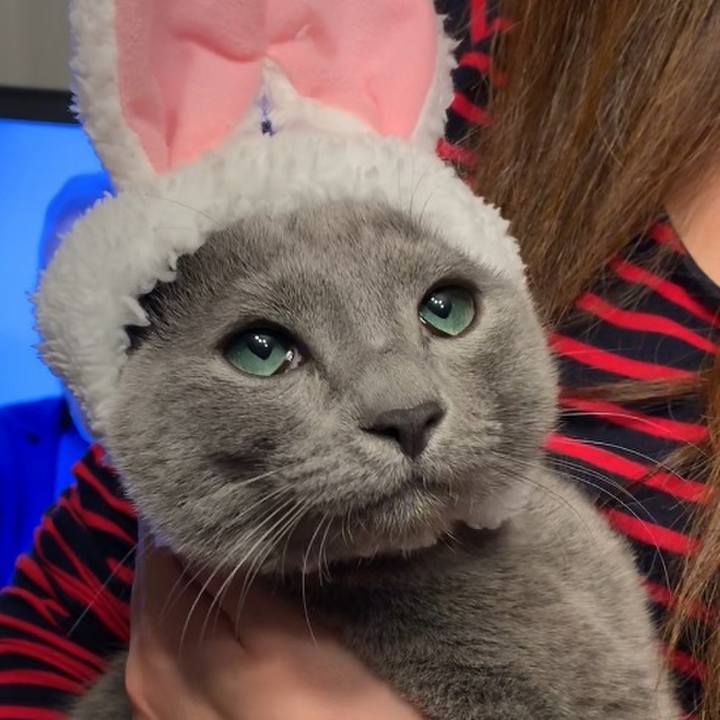 C23ef805 3daf 4411 a0f6 56678bb04923 1575578511754