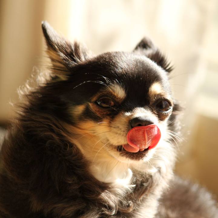 C23f0d43 ca8f 41f0 92b5 4d0dab7f8aba 1600763128561