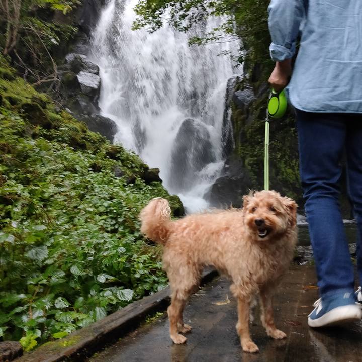 C23f489a 8792 4974 82ca 48aee103e958 1599885812184