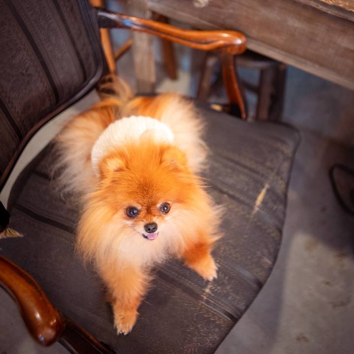 C23f4fcb d515 48cc 872e 6dcec431d86b 1639731052183