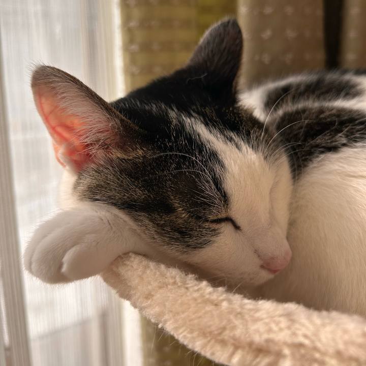 C23f6e11 3b20 4dca a52b 3fae9f222388 1735528347218