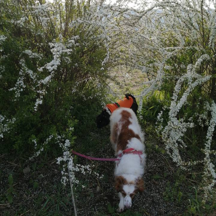 C23f91bd 6936 49f7 9447 fcecddde6da8 1616549799098