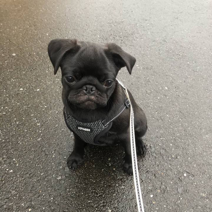 C23fa0bc f00b 4d15 9a70 375fcada7f9d 1594678068985