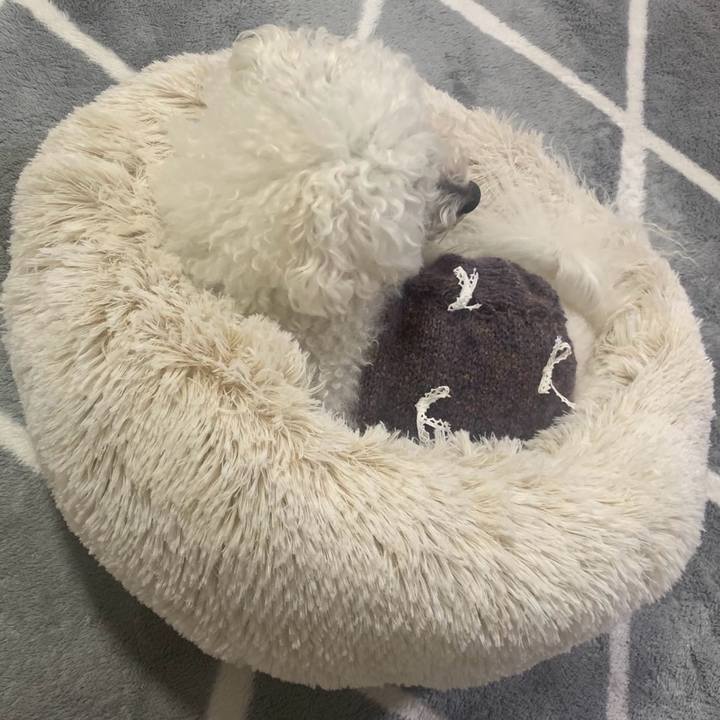 C23fa457 2d70 4d32 9f70 583fe2824035 1736589052523