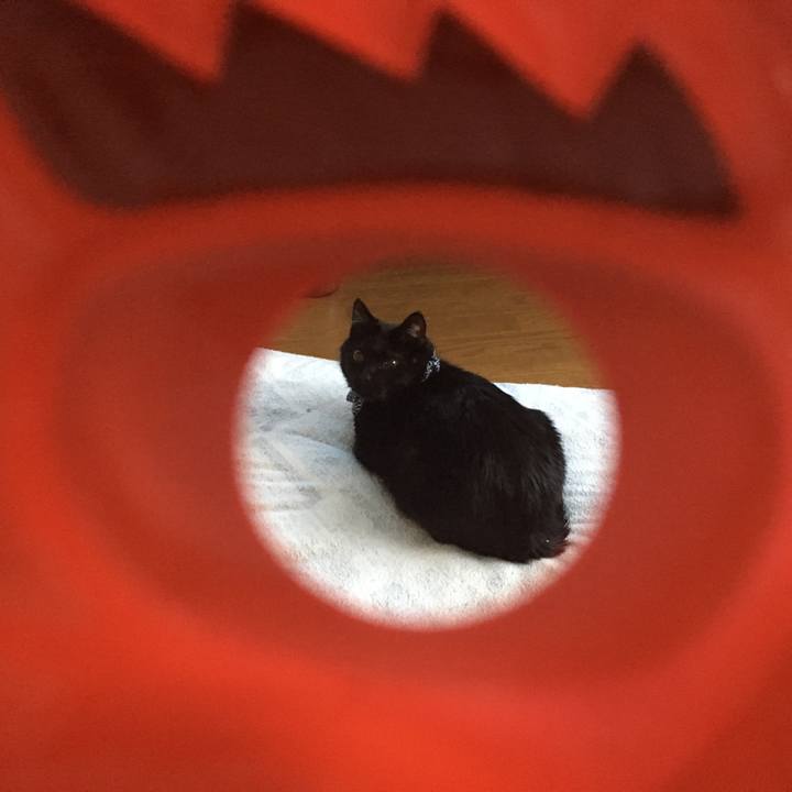 C23fdb87 d8ec 421a a949 0ab3f9a6ee86 1549145504856