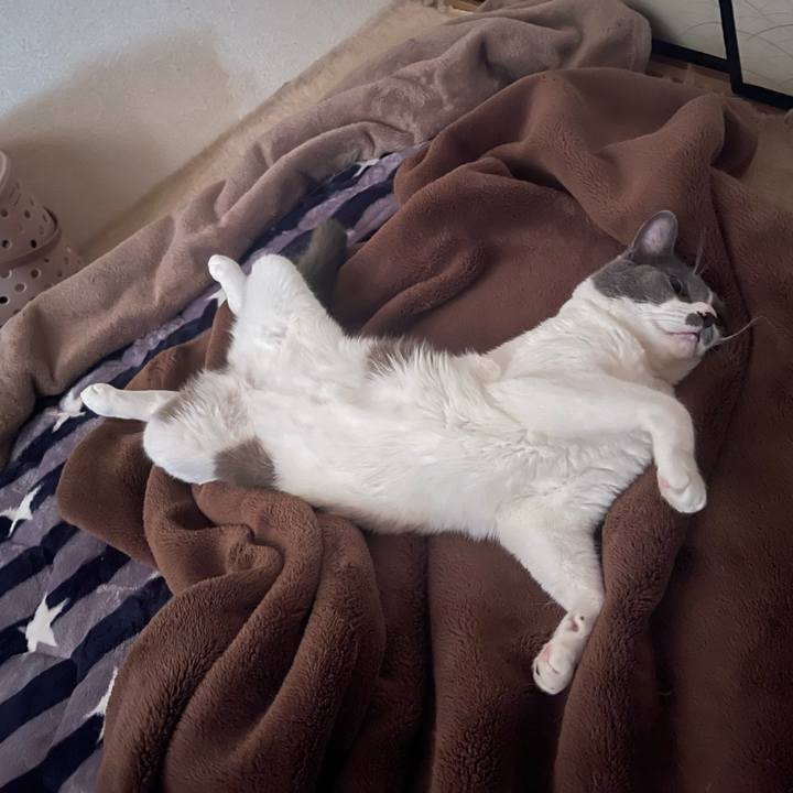 C23ff662 9d1a 4519 beaa d54c248cb1de 1667515287743