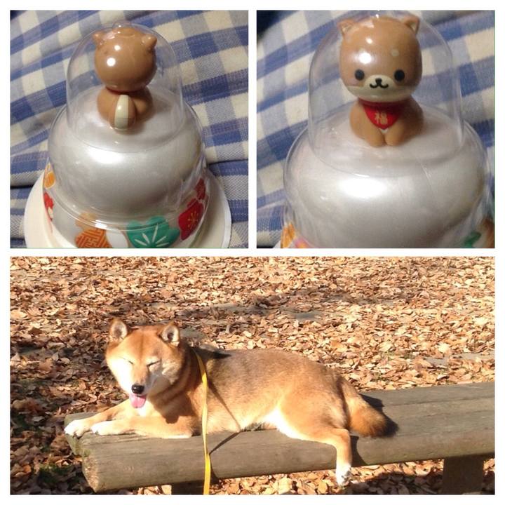 C2402356 11c4 4f09 9e93 a4d5babed605 1512633500445