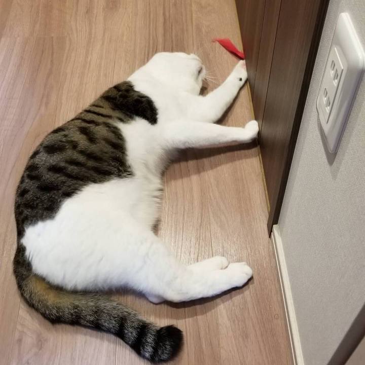 C2402f36 12db 4397 80ad cfbe2c7f64ef 1561770550648