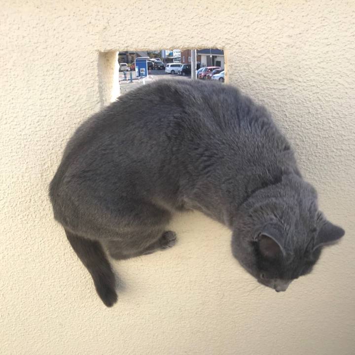 C24083b3 adfc 4317 ab3d e6c3f288414c 1546744216231