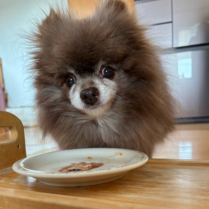 C240e360 9f3d 408f 86d8 d0d5599db083 1749253245691