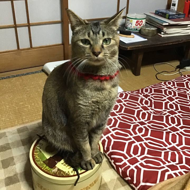 C240fe97 680f 4b51 9611 d948216e9f41 1614075406806