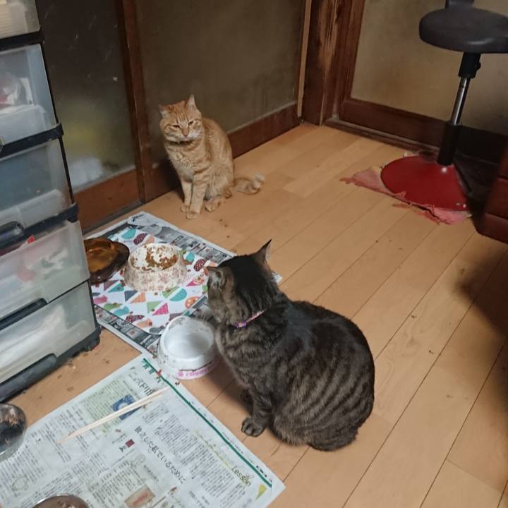 C241079a f3df 4a3a 9323 30df8a860b76 1652695761626