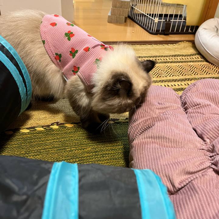 C2418ebc de97 4d81 a956 264da374e6d0 1665402238190