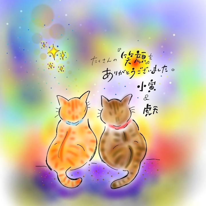 C241e896 d5b7 4349 8131 84a0eac3cdce 1585585018728