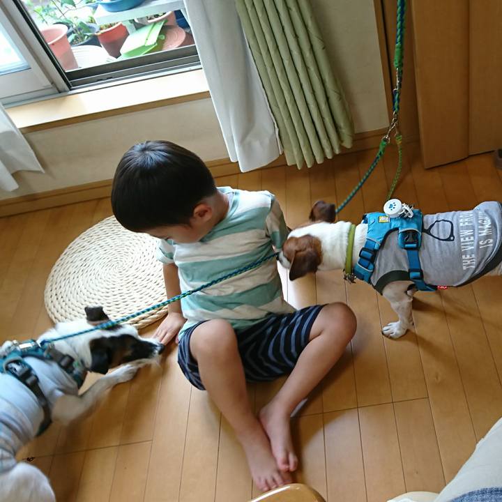 C241eda9 3efe 4ace a4aa 5864fd6fb244 1594456678227