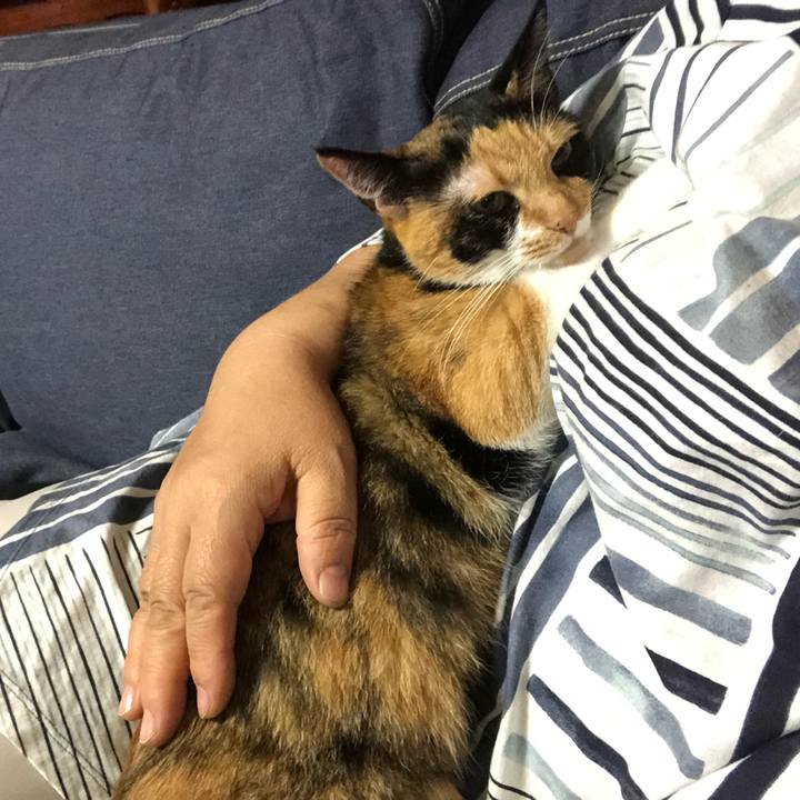 C24207d2 643c 4800 b8c9 14ae705b1310 1537878202975