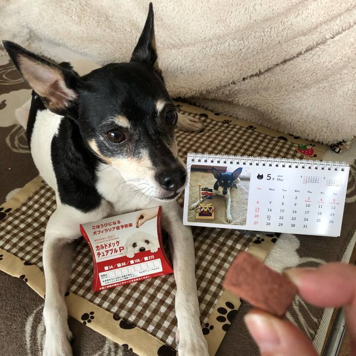 C2421694 0d09 4266 ba84 6b1634372d67 1525130655157