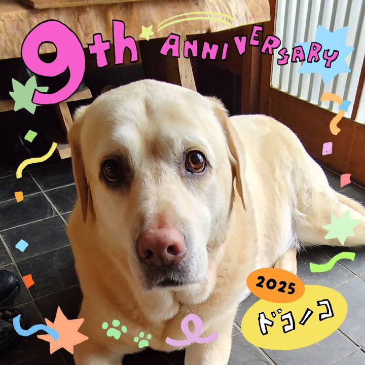 C24223ad 3aa3 40f4 b1a6 bb265c2d94d8 1749090764224