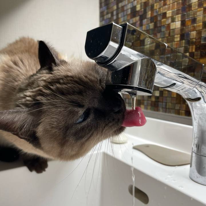 C2426008 9bc2 4572 8c00 c15c97052a77 1765618115166