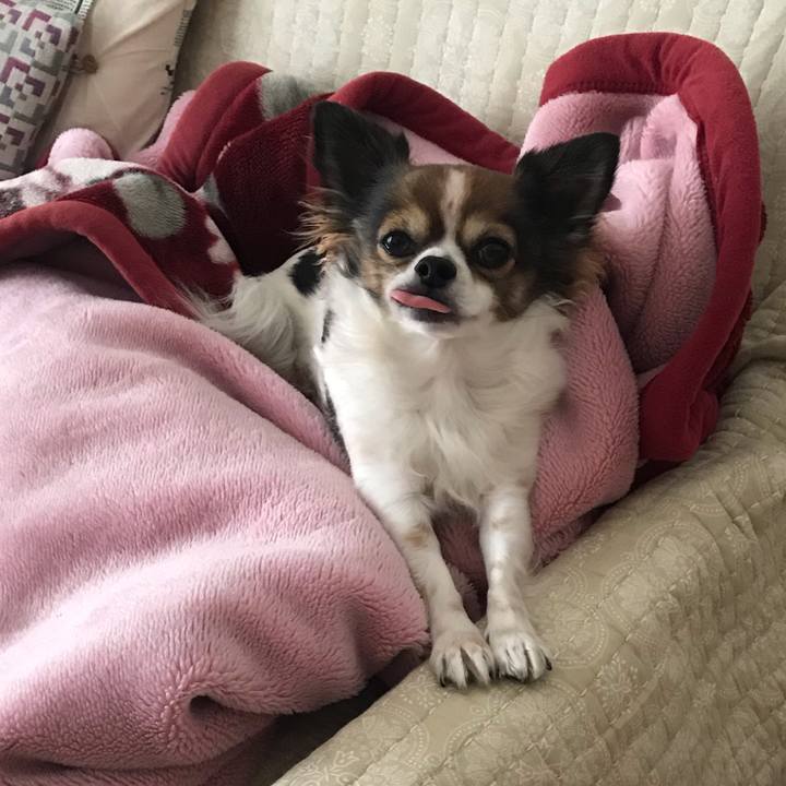 C2426100 698d 4af1 b393 1975ea93fc12 1544678108640