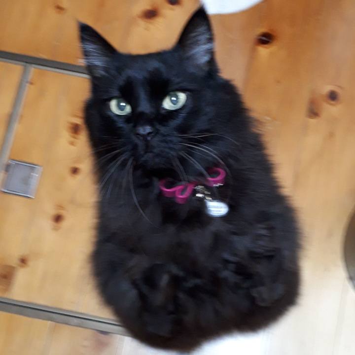 C242e0c0 2d1f 44e4 a3a9 6daf7efa4610 1519255158167