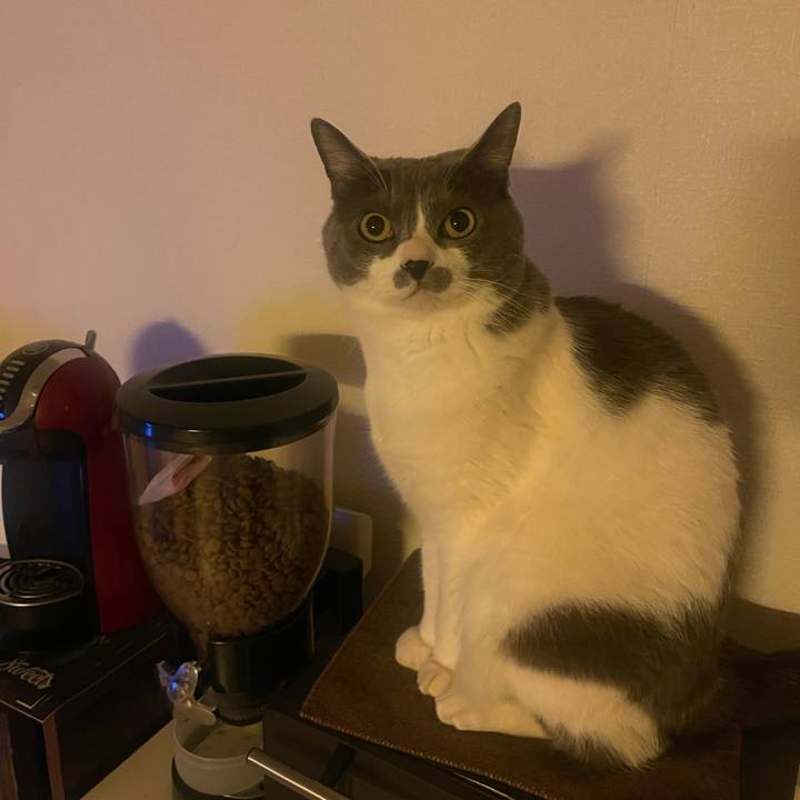 C2431835 c46f 43f9 b3cc fe28ff2e0340 1711410427102