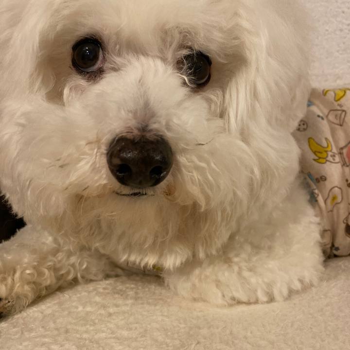 C243239c 0260 461b 9f50 076ec4e76cdd 1618570654150