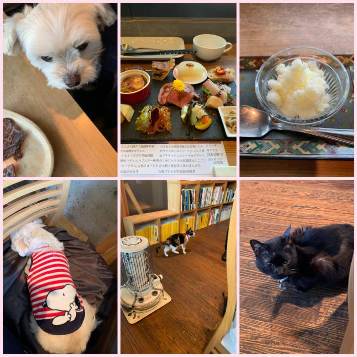 C2432c05 7ede 4a2d 9613 7b4c7324b69c 1581480057458