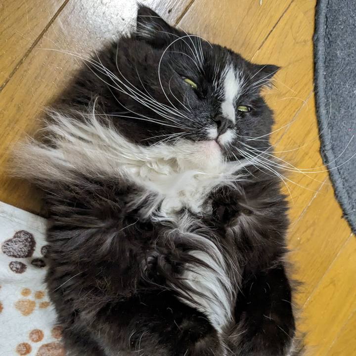 C2433167 621a 4b79 91eb a1706e6a2673 1708088399881