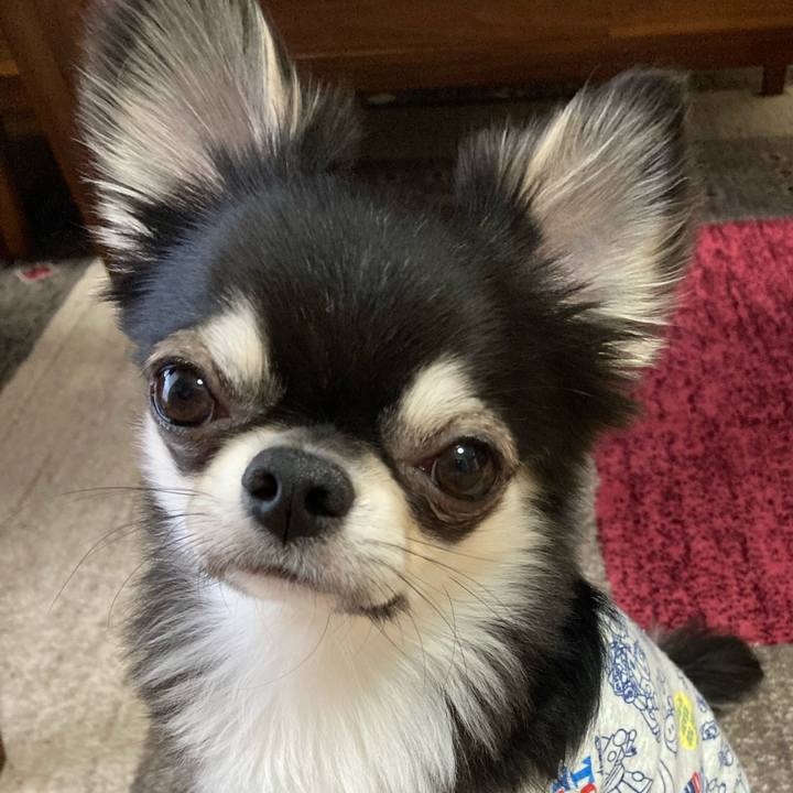 C2433d7a d028 4184 aef9 0645f94b5708 1619302824736