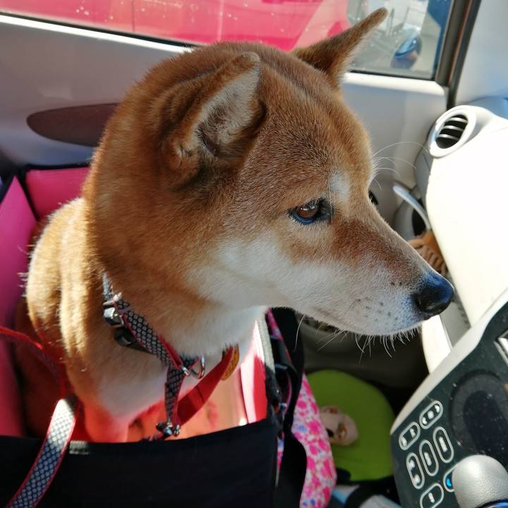 C2434499 6a12 4359 aead 242b7e68a23d 1580266198330