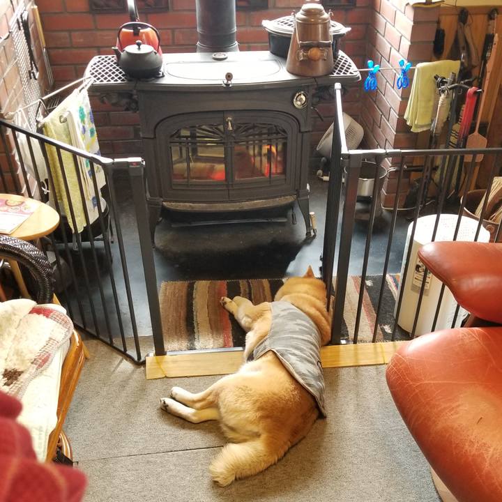 C2437089 cb61 4831 a0a3 172c8c27eec9 1648772614304