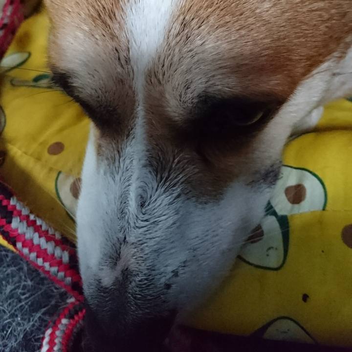 C2438562 3a1f 407c 8966 b8c97ddd5611 1666085723131