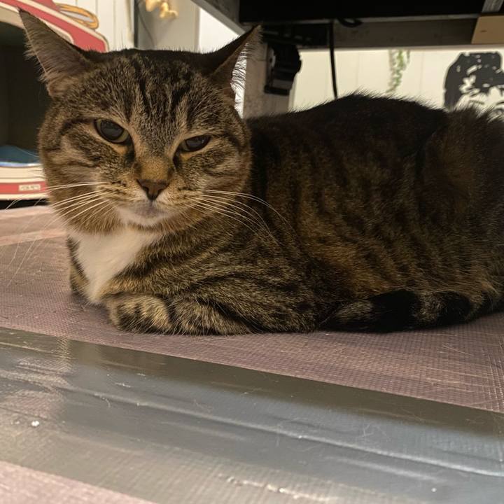 C243a721 56b3 45f6 91ce 1697c8ead73d 1650977898816